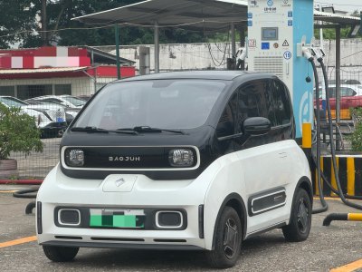 2021年1月 寶駿 寶駿KiWi EV 設(shè)計(jì)師 三元鋰圖片