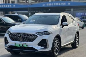 拿鐵DHT-PHEV WEY 1.5T 四驅超大杯