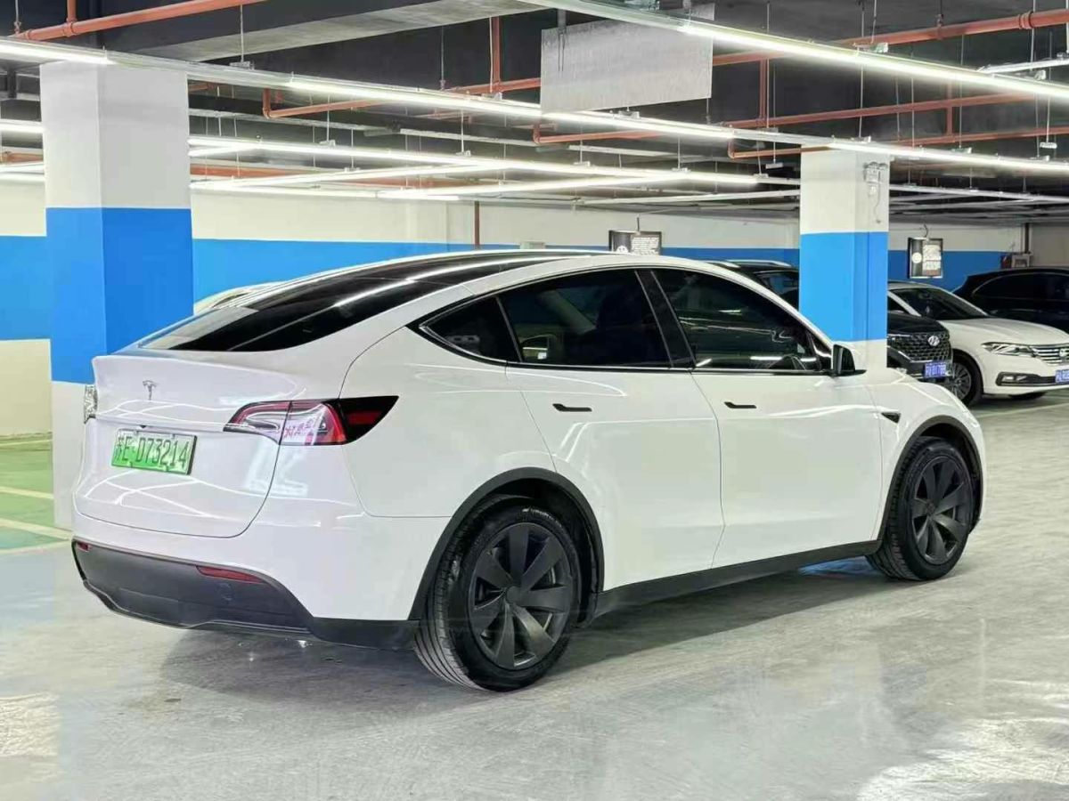 特斯拉 Model Y  2022款 Performance高性能全輪驅(qū)動(dòng)版圖片