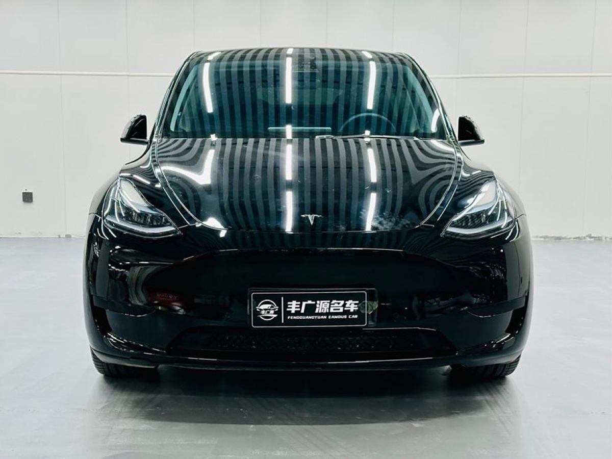 特斯拉 Model Y  2020款 改款 長續(xù)航后輪驅(qū)動版圖片