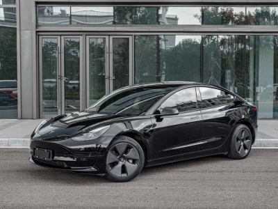 2023年6月 特斯拉 Model 3 后輪驅(qū)動(dòng)版圖片