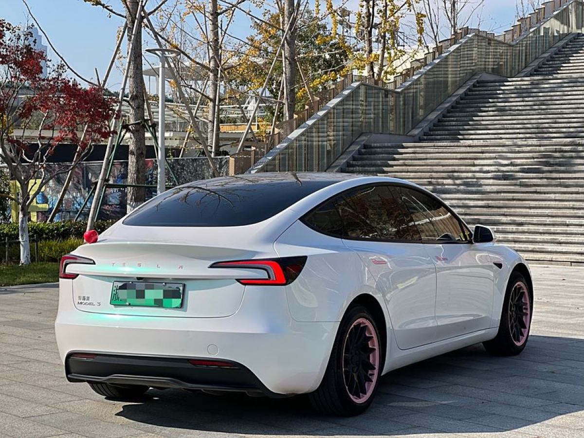 特斯拉 Model Y  2023款 后輪驅(qū)動版圖片