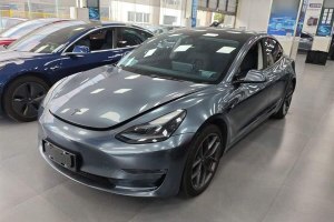 Model 3 特斯拉 Performance高性能全輪驅(qū)動(dòng)版