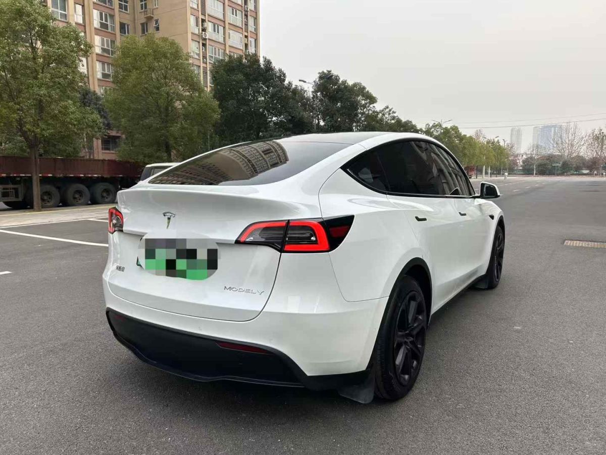 特斯拉 Model Y  2024款 Performance高性能版圖片