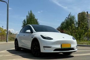 Model S 特斯拉 Performance 高性能版