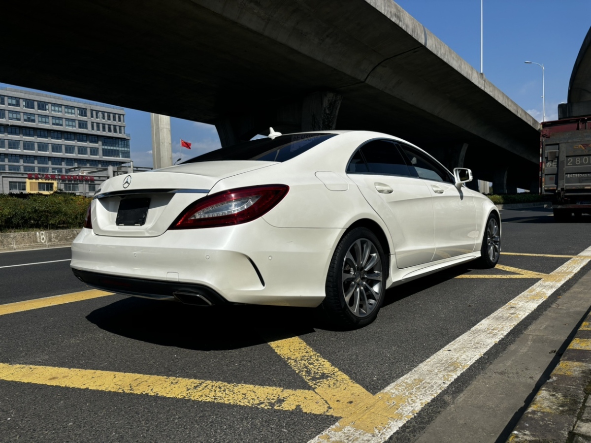 2015年10月奔馳 奔馳CLS級  2015款 CLS 320