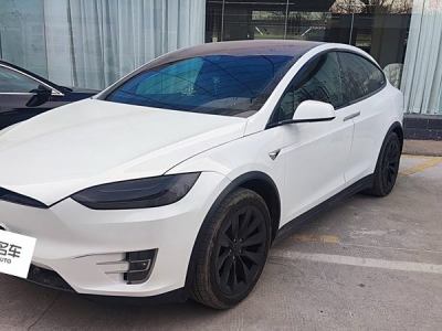 2019年2月 特斯拉 Model X Model X 100D 長續(xù)航版圖片