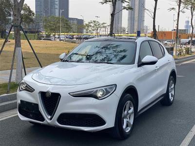 2019年6月 阿爾法·羅密歐 Stelvio 2.0T 200HP 精英版圖片