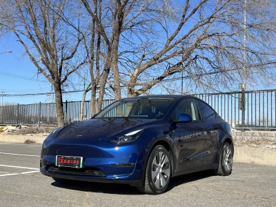 2021年8月 特斯拉 Model Y 長續(xù)航全輪驅(qū)動版 3D7圖片