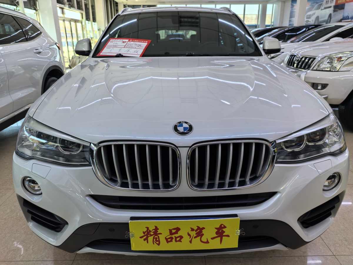 寶馬 寶馬X4  2014款 xDrive20i X設(shè)計(jì)套裝圖片