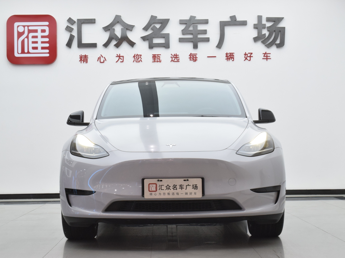 特斯拉 Model Y  2020款 改款 長續(xù)航后輪驅(qū)動版圖片