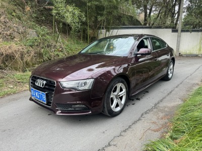 2014年8月 奧迪 奧迪A5(進口) Sportback 40 TFSI圖片