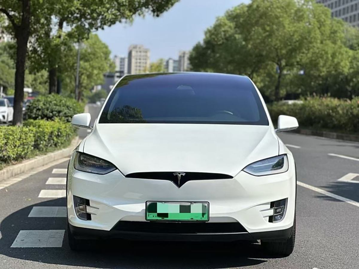 特斯拉 Model X  2017款 Model X 100D 長續(xù)航版圖片