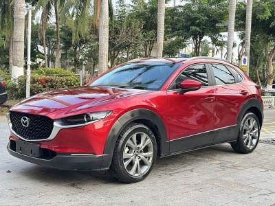 2021年6月 馬自達(dá) CX-30 2.0L 自動(dòng)嘉悅型圖片