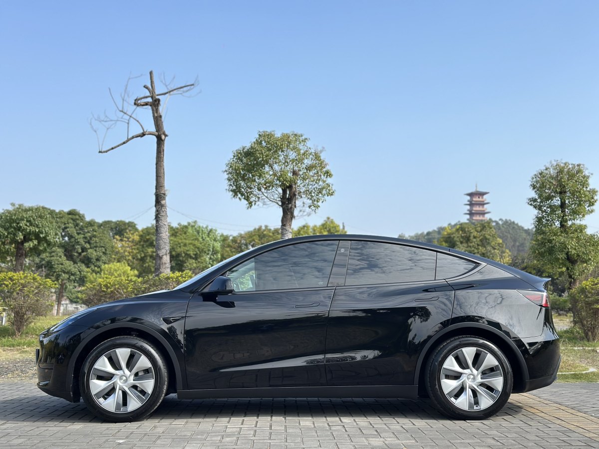 特斯拉 Model 3  2020款 改款 長續(xù)航后輪驅(qū)動版圖片