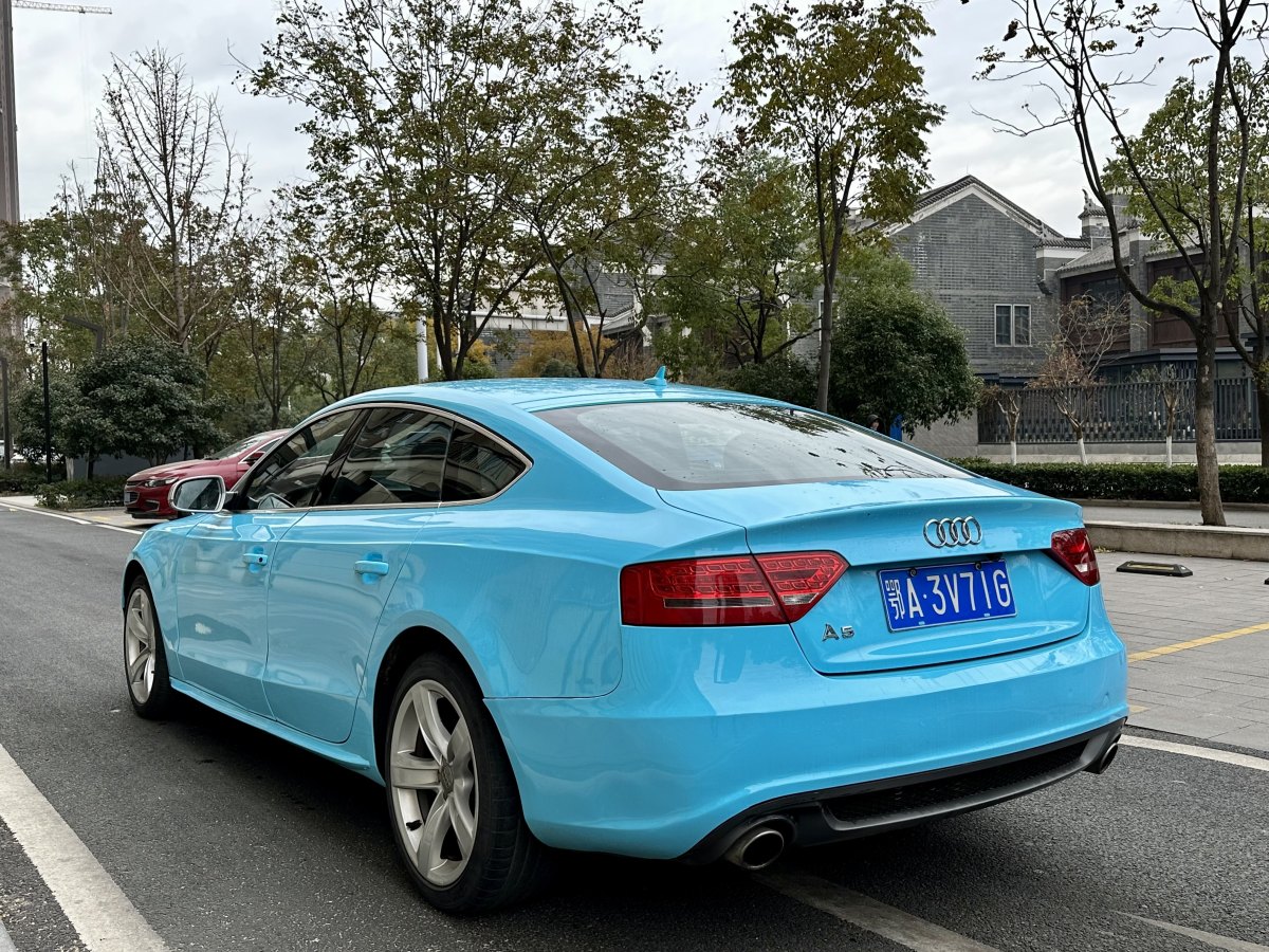 奥迪 奥迪a5  2012款 20tfsi cabriolet图片