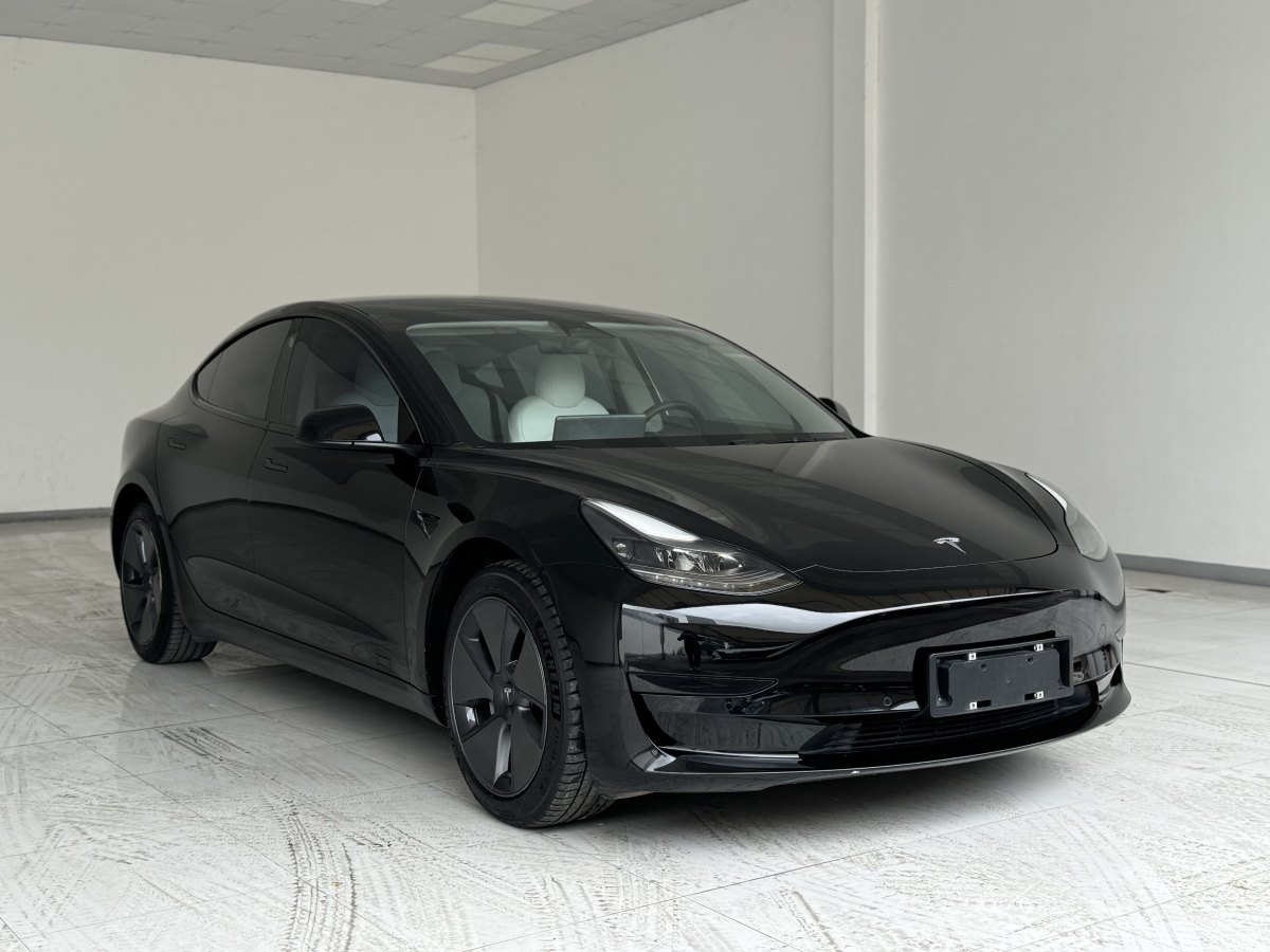 特斯拉 Model 3  2019款 標(biāo)準(zhǔn)續(xù)航后驅(qū)升級(jí)版圖片