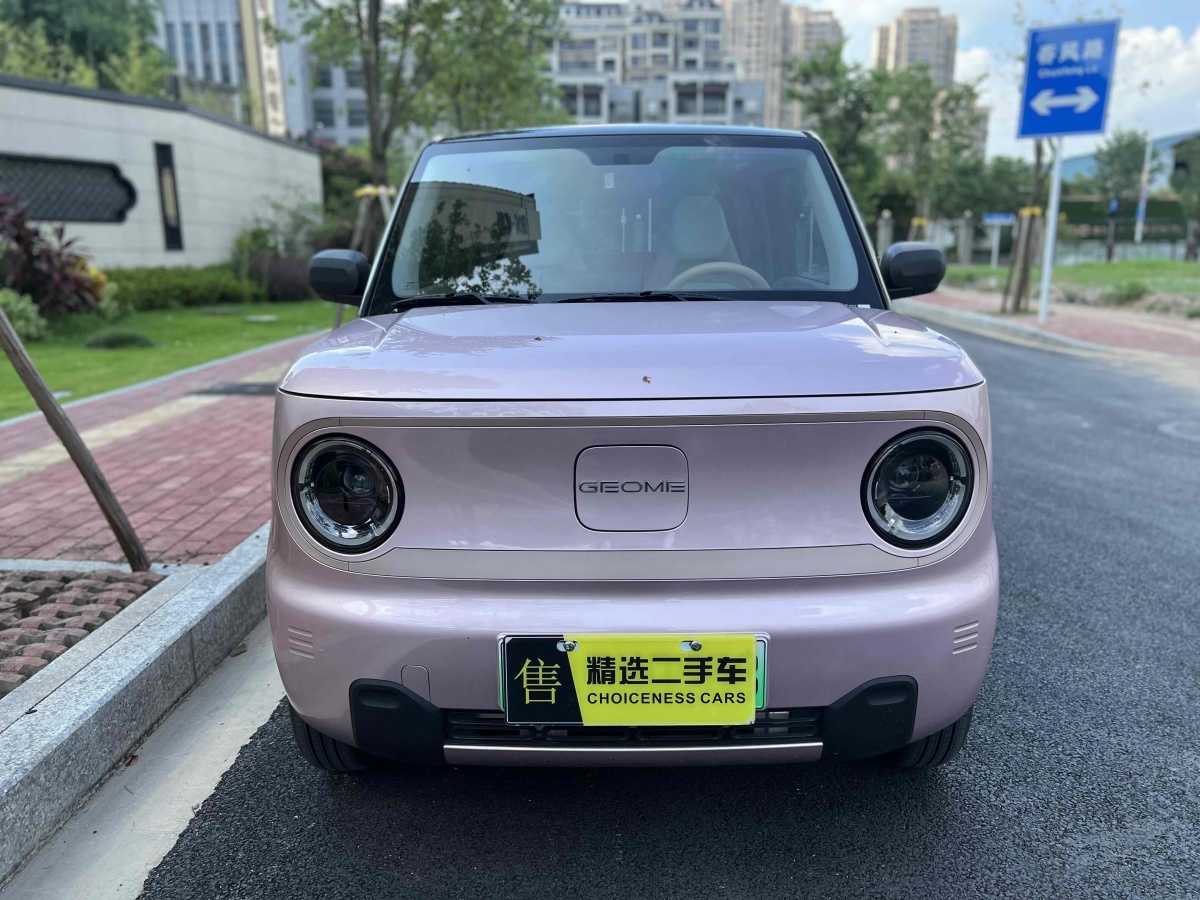 吉利 熊貓mini  2023款 200km 靈動熊圖片