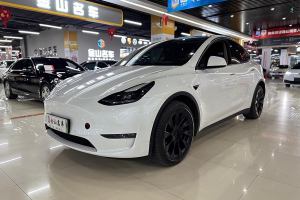 Model Y 特斯拉 改款 长续航全轮驱动版