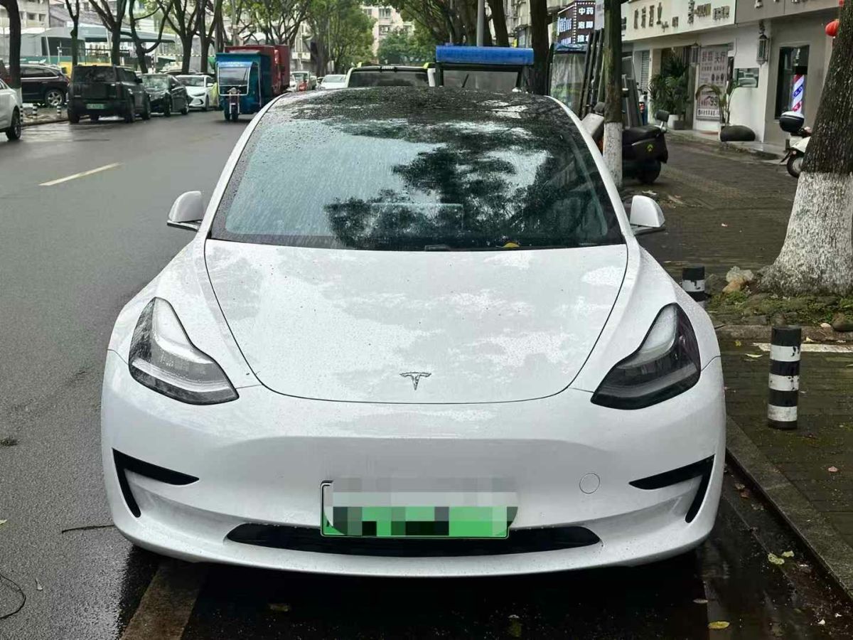 特斯拉 Model X  2020款 Performance 高性能版圖片