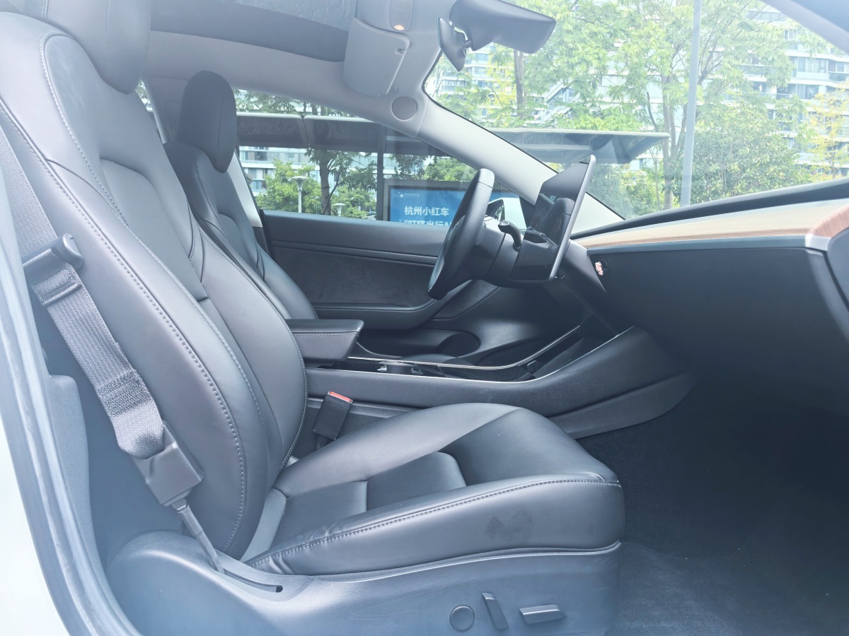 特斯拉 Model 3  2019款 標(biāo)準(zhǔn)續(xù)航后驅(qū)升級(jí)版圖片