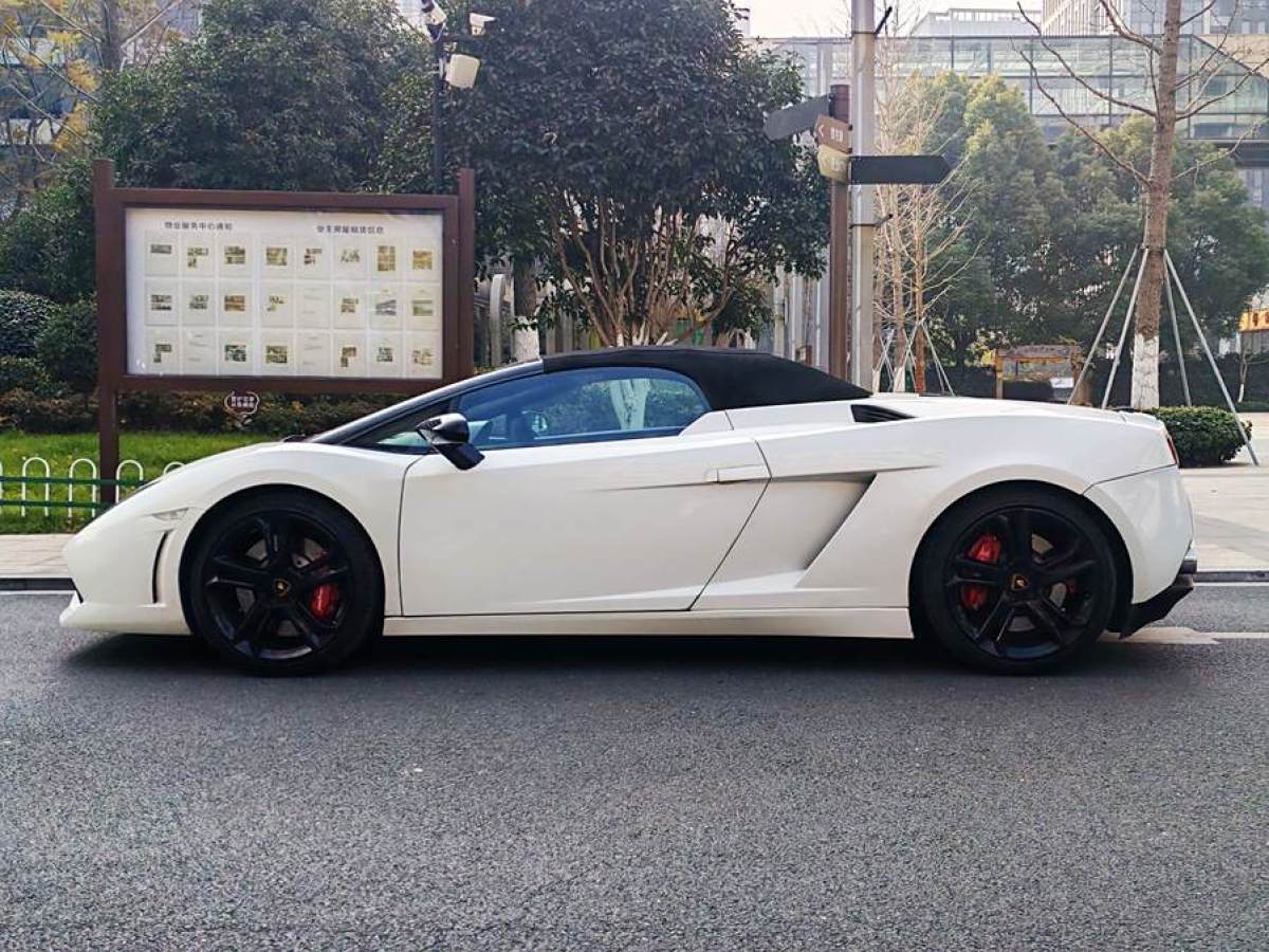 蘭博基尼 Gallardo  2009款 LP 560-4 Spyder圖片