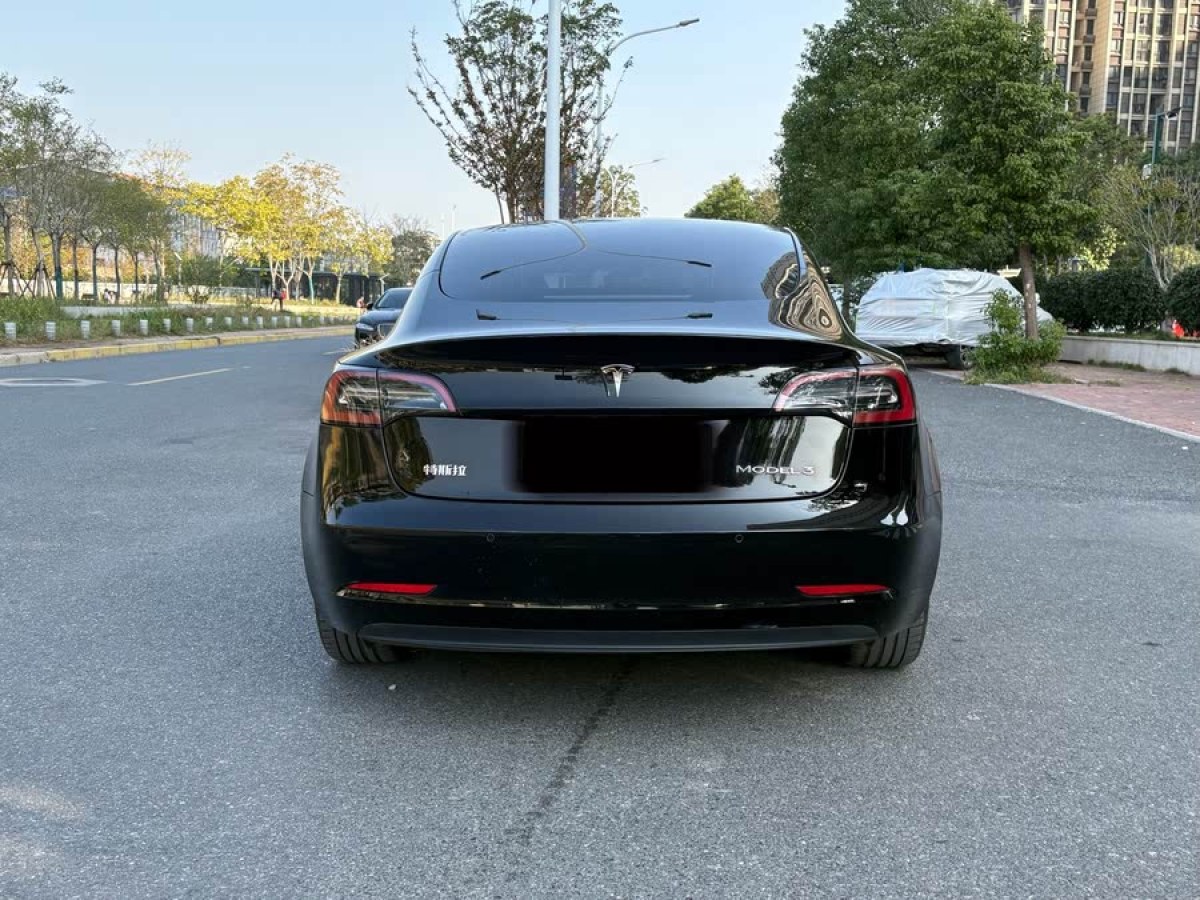 特斯拉 Model 3  2022款 后輪驅(qū)動版圖片