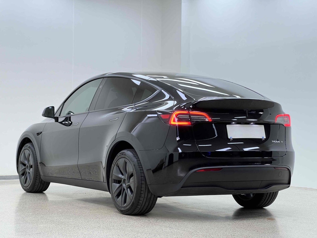 特斯拉 Model Y  2023款 長續(xù)航煥新版 雙電機(jī)全輪驅(qū)動(dòng)圖片