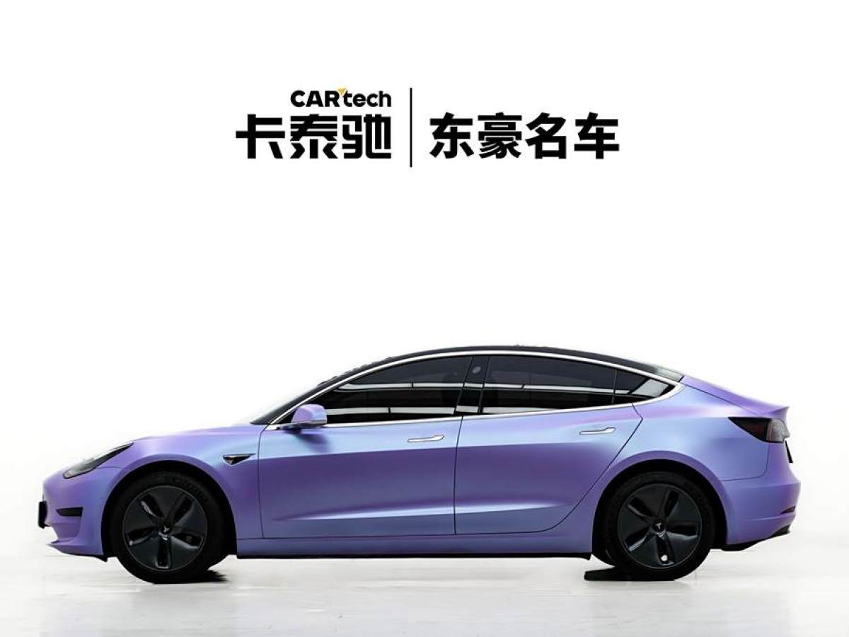 特斯拉 Model Y  2020款 改款 標準續(xù)航后驅(qū)升級版圖片