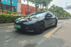 Model 3 特斯拉 后輪驅(qū)動版