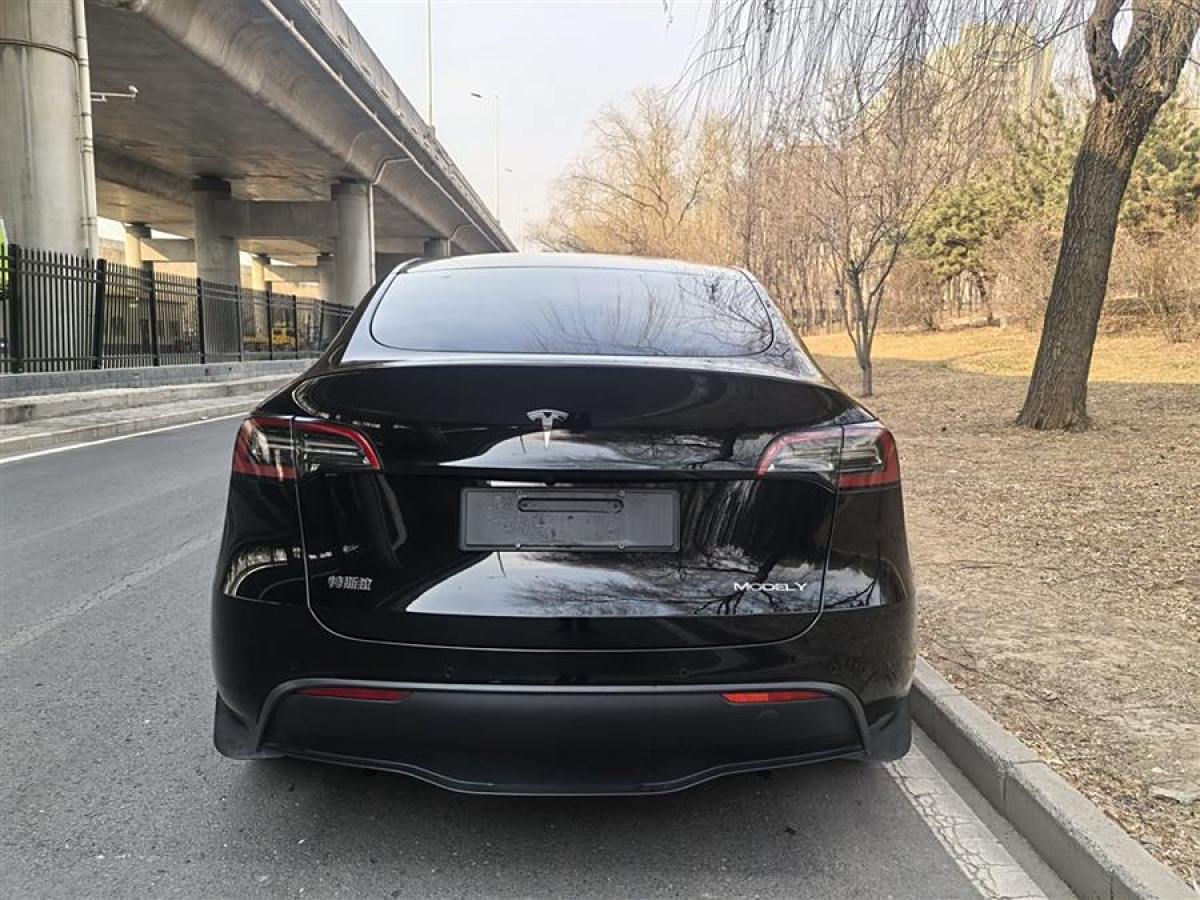 特斯拉 Model 3  2020款 改款 長(zhǎng)續(xù)航后輪驅(qū)動(dòng)版圖片