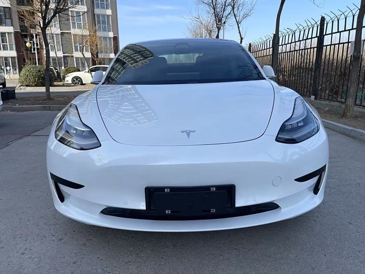 特斯拉 Model 3  2020款 改款 標(biāo)準(zhǔn)續(xù)航后驅(qū)升級(jí)版圖片