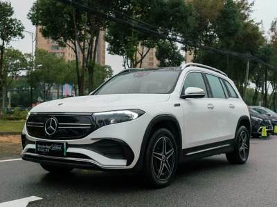 2022年2月 奔馳 奔馳EQB EQB 350 4MATIC 首發(fā)特別版圖片