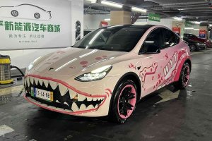 Model Y 特斯拉 改款 后輪驅(qū)動版