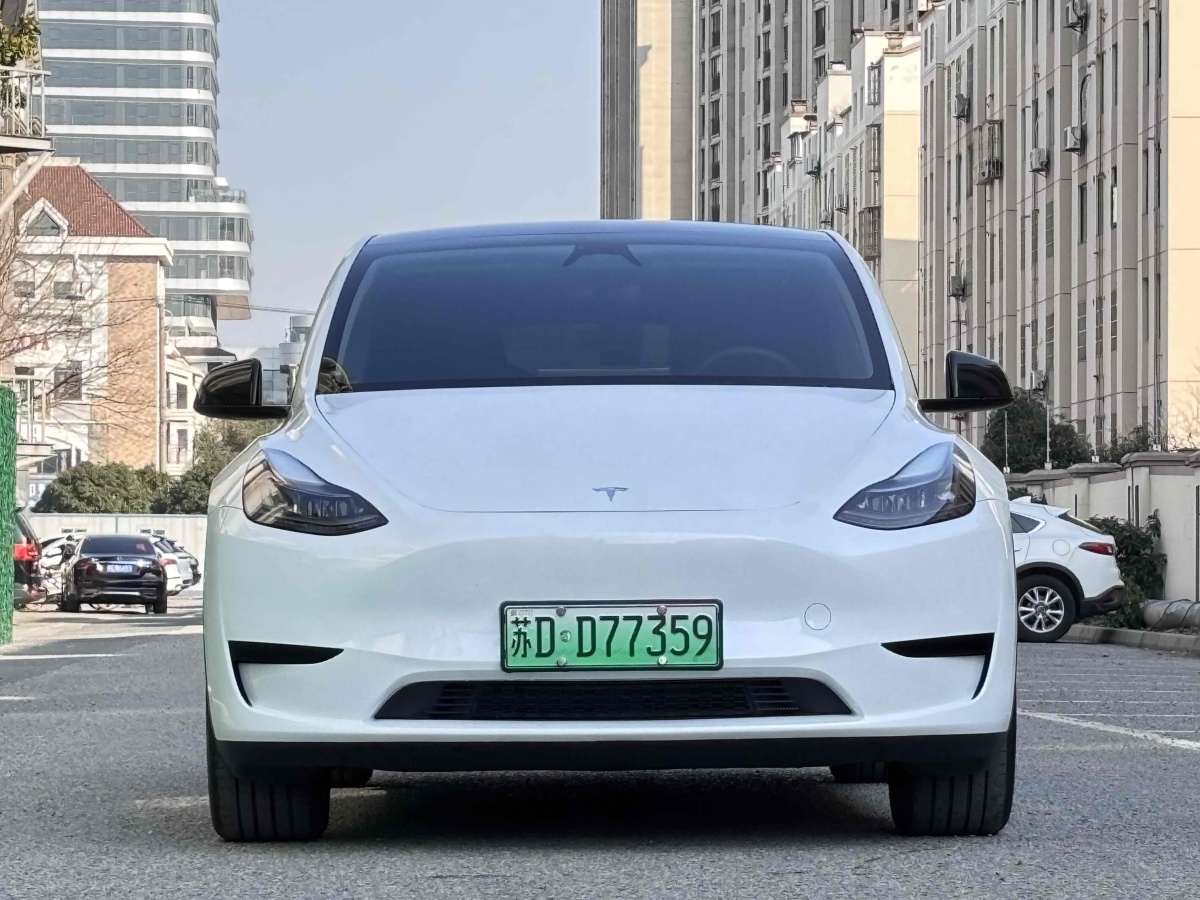 特斯拉 Model 3  2020款 改款 長續(xù)航后輪驅(qū)動版圖片