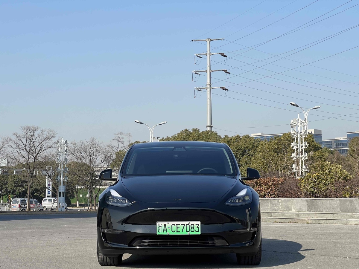 特斯拉 Model 3  2022款 Performance高性能全輪驅(qū)動(dòng)版圖片