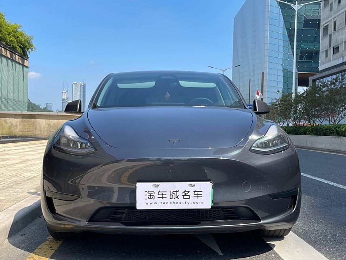 特斯拉 Model Y  2020款 改款 長(zhǎng)續(xù)航后輪驅(qū)動(dòng)版圖片