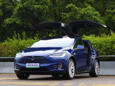 2020年1月 特斯拉 Model X 長續(xù)航版圖片