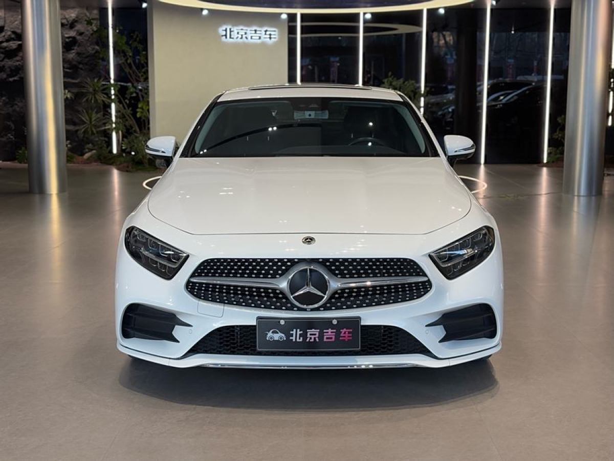 奔馳 奔馳CLS級  2020款 CLS 300 豪華型圖片