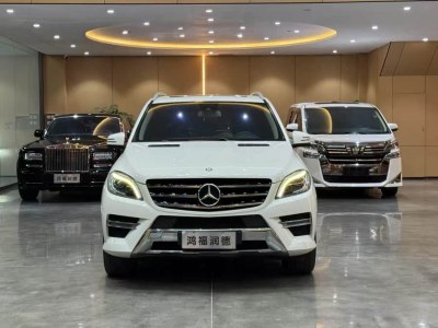 2013年5月 奔馳 奔馳M級(jí)(進(jìn)口) ML 300圖片