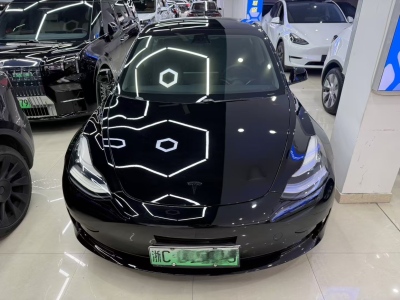 2020年8月 特斯拉 Model 3 標(biāo)準(zhǔn)續(xù)航后驅(qū)升級(jí)版圖片