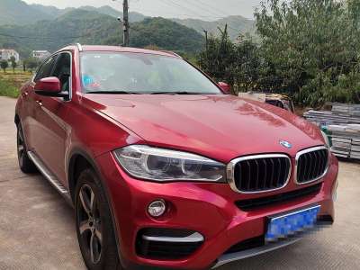 2015年6月 宝马 宝马X6(进口) xDrive35i 豪华型图片