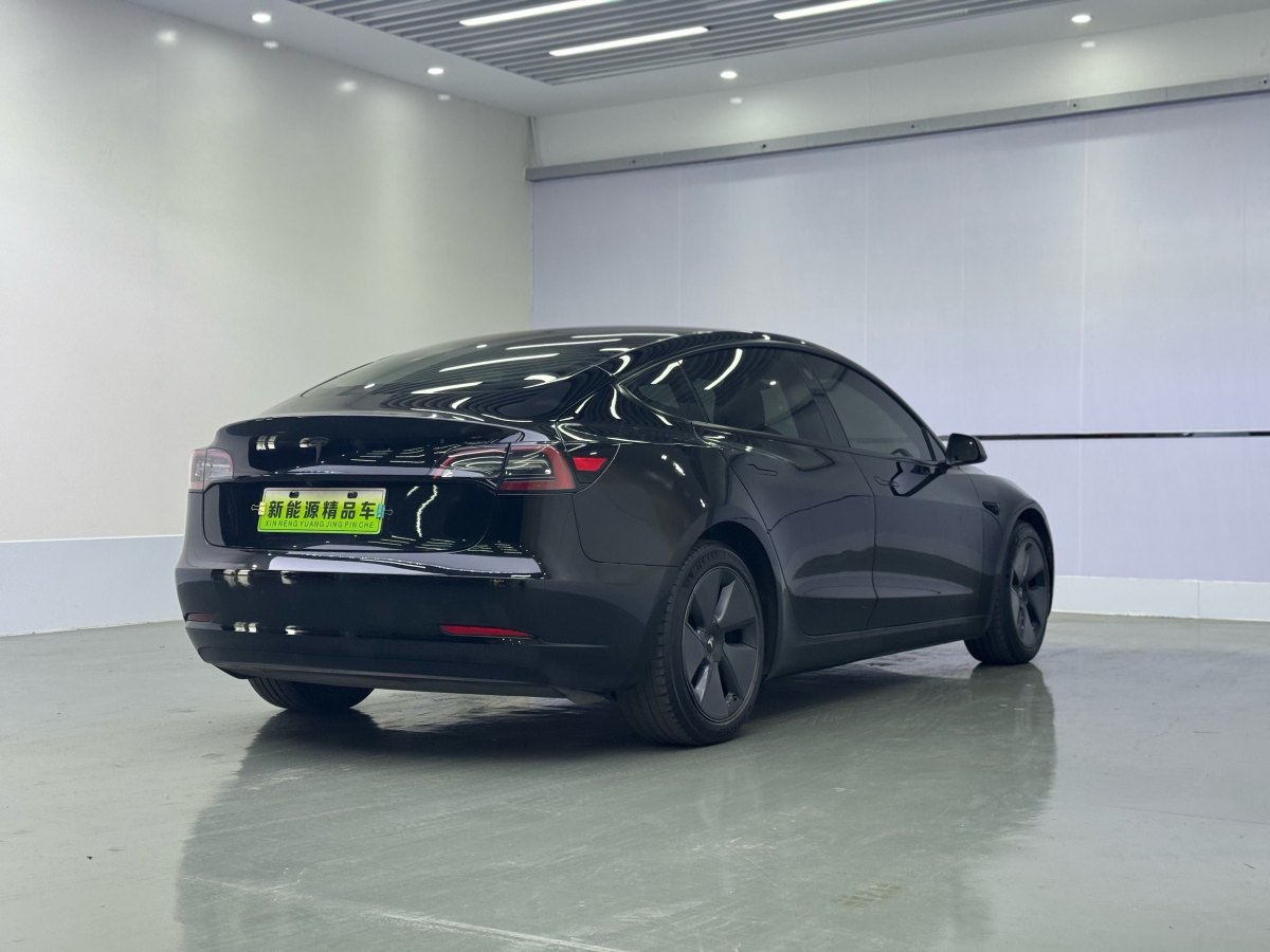 特斯拉 Model 3  2019款 標(biāo)準(zhǔn)續(xù)航后驅(qū)升級(jí)版圖片