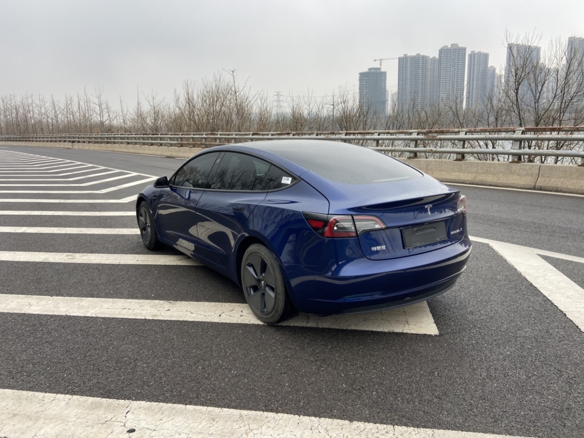 2021年01月特斯拉 Model 3  2019款 標(biāo)準(zhǔn)續(xù)航后驅(qū)升級(jí)版