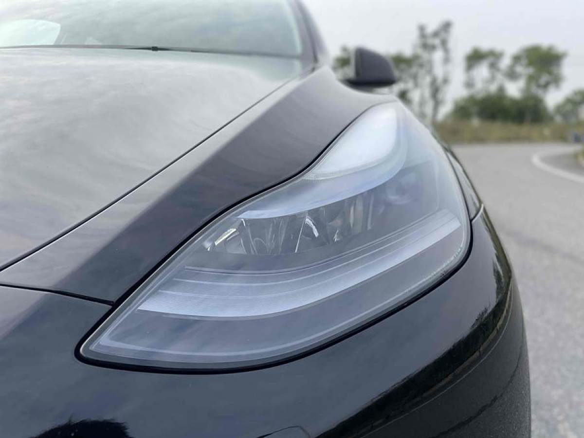 特斯拉 Model 3  2020款 改款 長續(xù)航后輪驅(qū)動版圖片