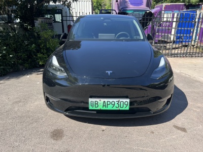 2021年2月 特斯拉 Model Y 長(zhǎng)續(xù)航全輪驅(qū)動(dòng)版圖片