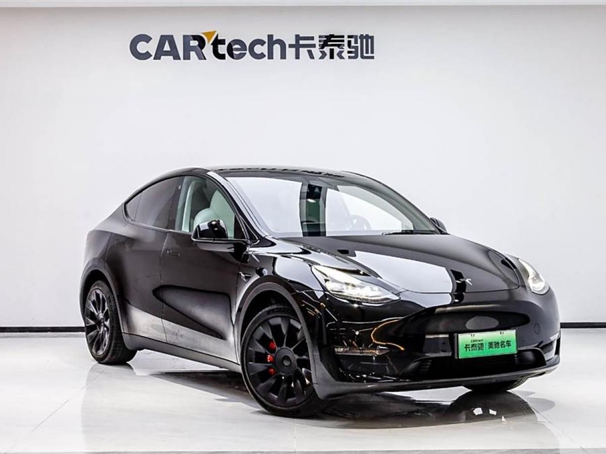 特斯拉 Model Y  2022款 改款 長(zhǎng)續(xù)航全輪驅(qū)動(dòng)版圖片