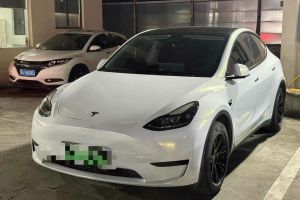 Model 3 特斯拉 Performance高性能全輪驅(qū)動(dòng)版