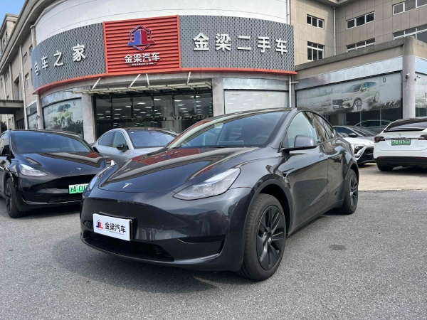 特斯拉 Model Y  2020款 改款 长续航后轮驱动版