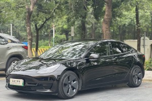 Model 3 特斯拉 標(biāo)準(zhǔn)續(xù)航后驅(qū)升級版 3D6